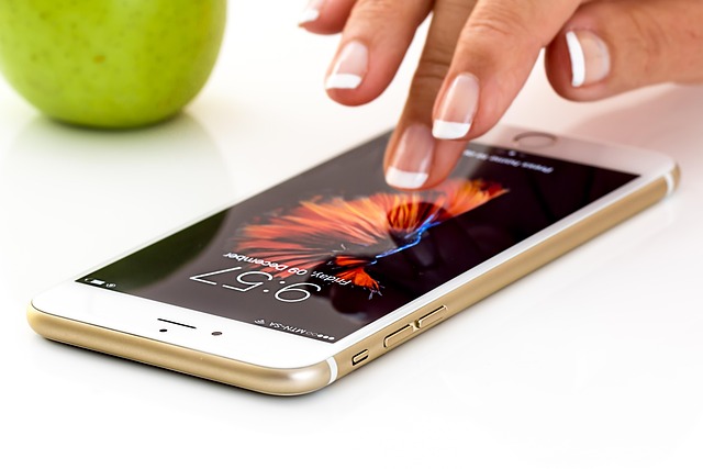 Mẹo chụp ảnh ngược sáng bằng điện thoại không bị tối mặt